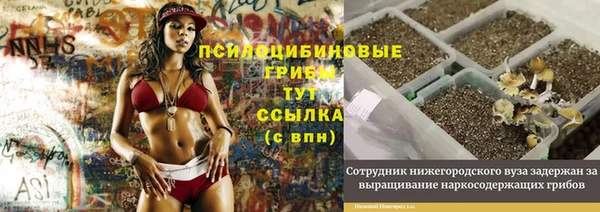 MESCALINE Вяземский