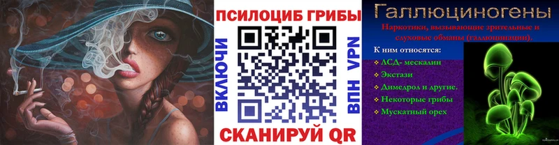 Галлюциногенные грибы Magic Shrooms Междуреченск