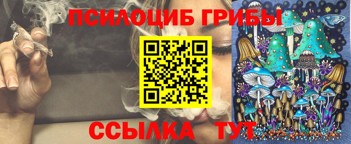 Галлюциногенные грибы прущие грибы  Вход с VPN  Междуреченск 