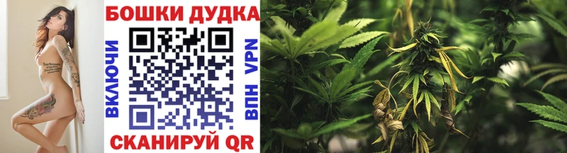 как найти   Междуреченск  Шишки марихуана Ganja 